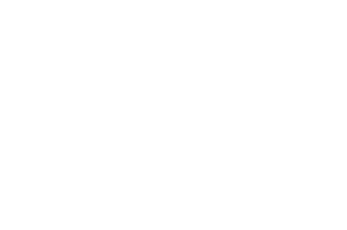 Werner Communications Logo